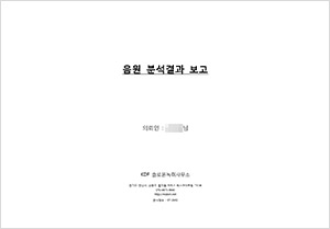 음원분석결과 보고서
